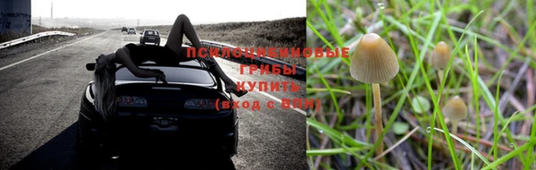 spice Верхний Тагил