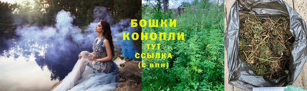 экстази Бородино